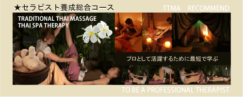 therapist training synthesis course