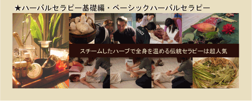 herbal therapy basic edition / basic herbal therapy