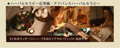 Herbal therapy application / advance herb therapy