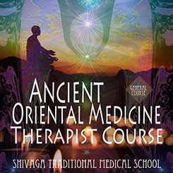 タイ伝統医学指導者養成総合コース